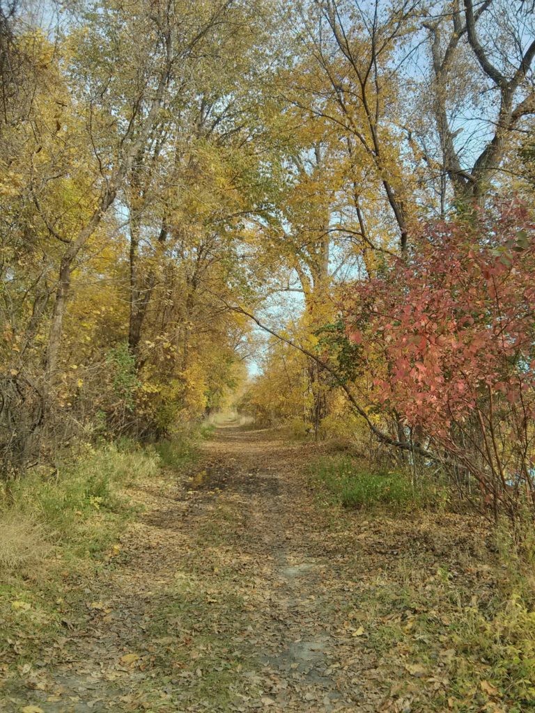 Life is Good Pass it On! Minnesota River Valley Audubon Chapter