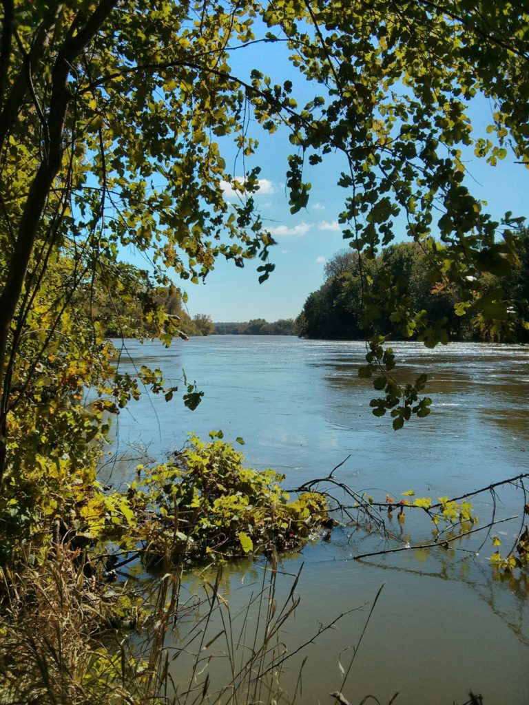 Citizen Science Opportunity Phenology & Changing Seasonal Patterns
